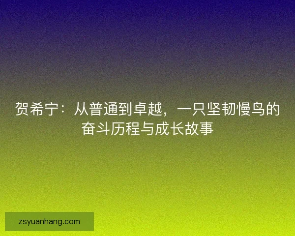 贺希宁：从普通到卓越，一只坚韧慢鸟的奋斗历程与成长故事