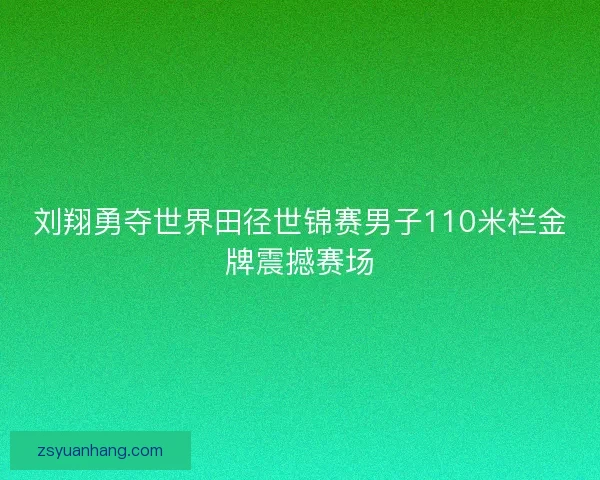 刘翔勇夺世界田径世锦赛男子110米栏金牌震撼赛场